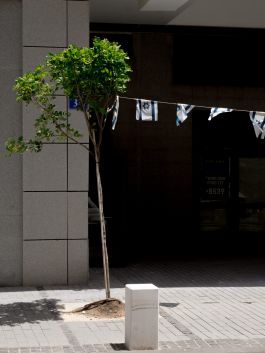 solidarity is a weapon