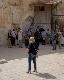 solidarity is a weapon