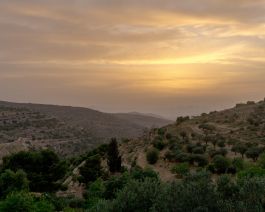 solidarity is a weapon