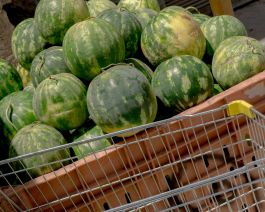 solidarity is a weapon