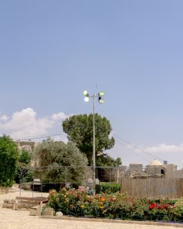 solidarity is a weapon