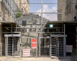 solidarity is a weapon