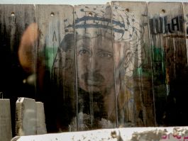 solidarity is a weapon