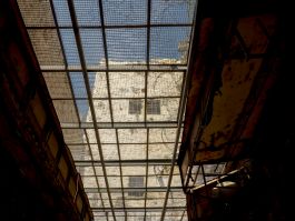 solidarity is a weapon