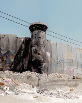 solidarity is a weapon