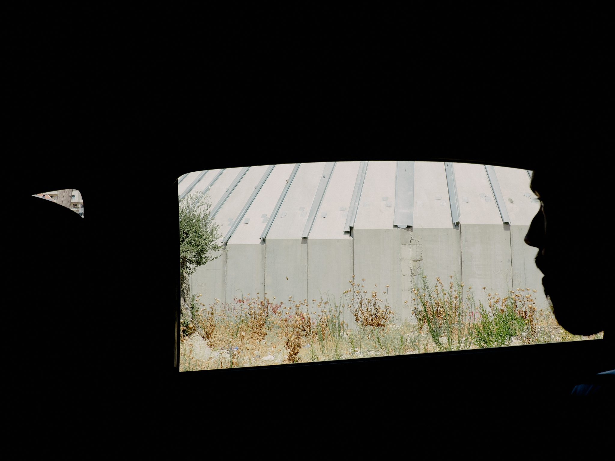 solidarity is a weapon