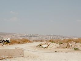 solidarity is a weapon