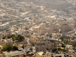 solidarity is a weapon