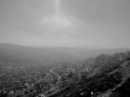 solidarity is a weapon