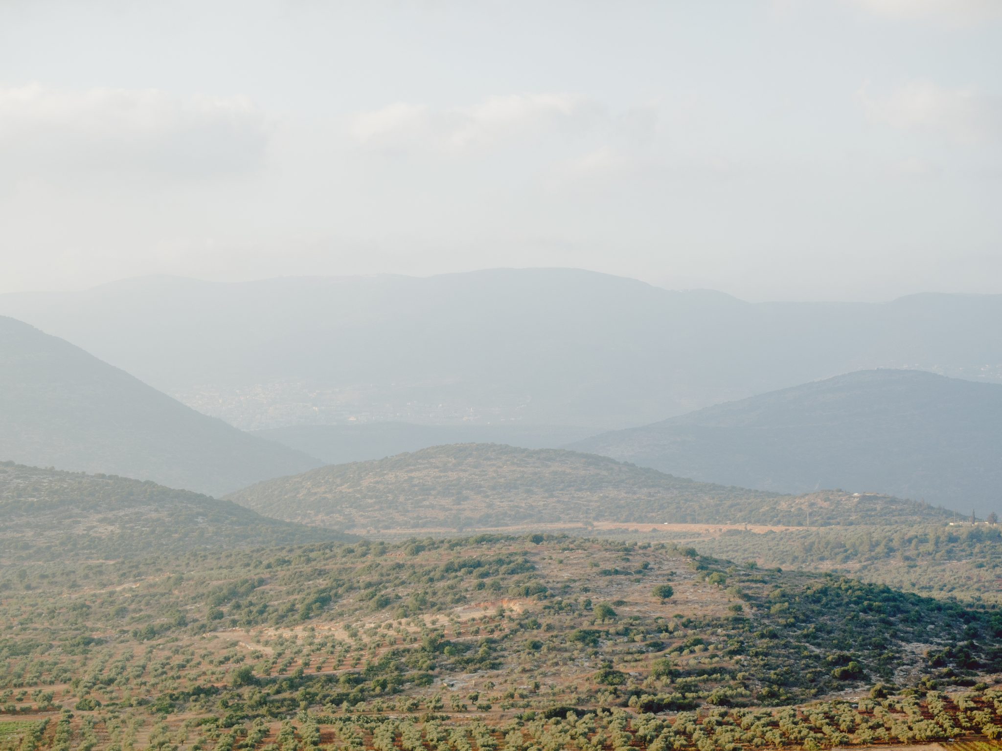 solidarity is a weapon