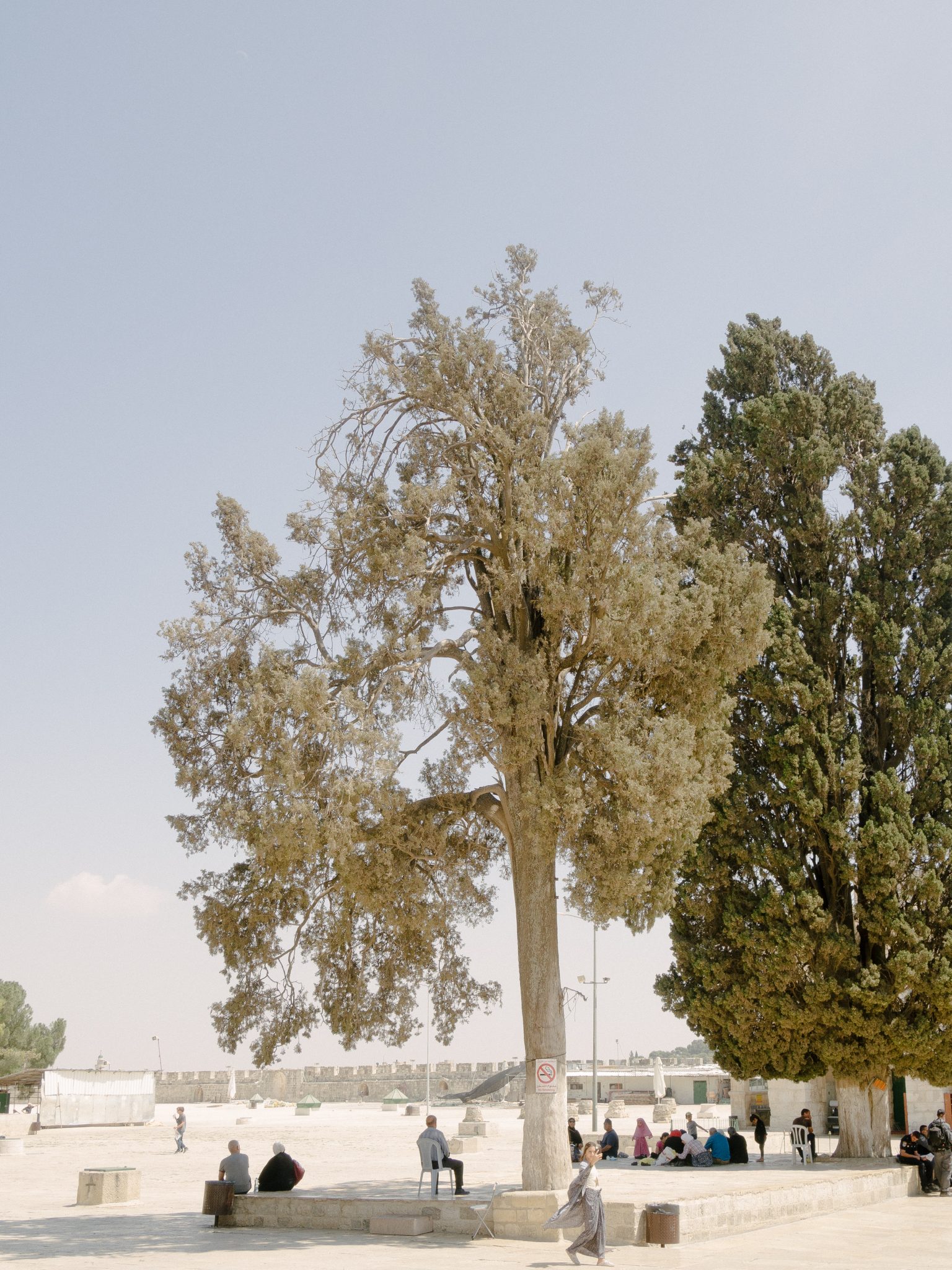 solidarity is a weapon