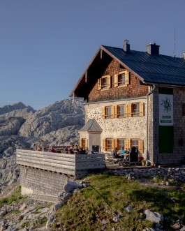 solidarity is a weapon