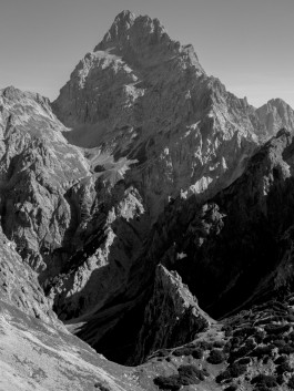 solidarity is a weapon