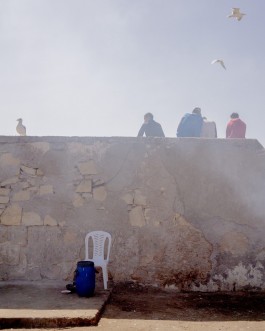 solidarity is a weapon