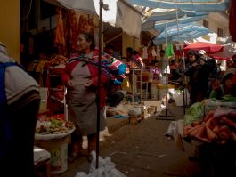 solidarity is a weapon