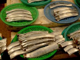 solidarity is a weapon