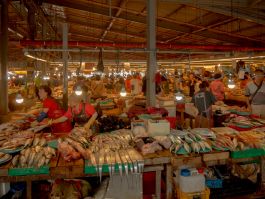 solidarity is a weapon