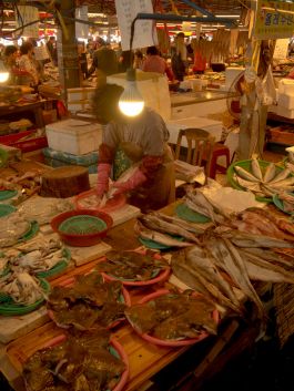 solidarity is a weapon