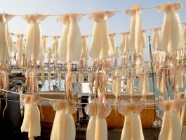 solidarity is a weapon