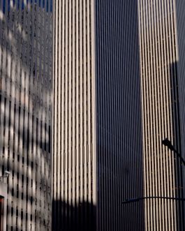 solidarity is a weapon