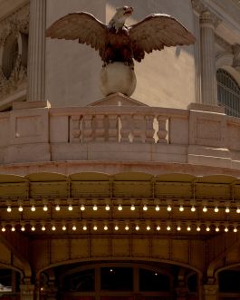 solidarity is a weapon