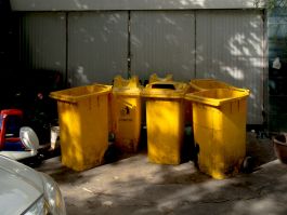 solidarity is a weapon