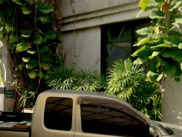 solidarity is a weapon