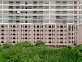 solidarity is a weapon