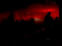 solidarity is a weapon