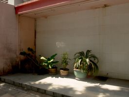 solidarity is a weapon