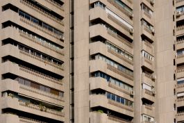 solidarity is a weapon