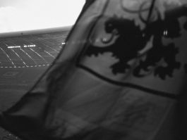 solidarity is a weapon