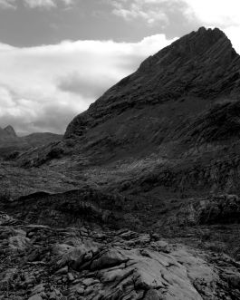 solidarity is a weapon