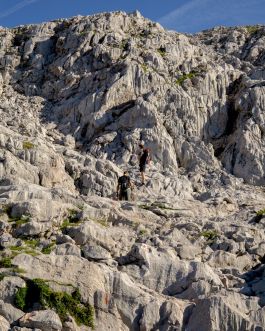 solidarity is a weapon