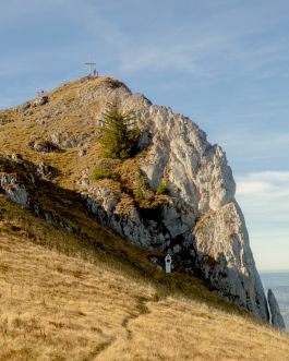 solidarity is a weapon