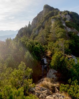 solidarity is a weapon