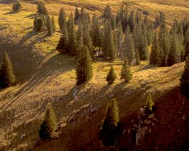 solidarity is a weapon