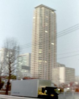 solidarity is a weapon