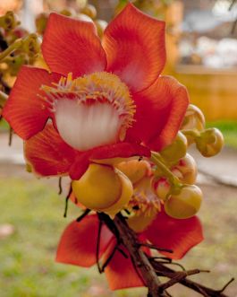 solidarity is a weapon