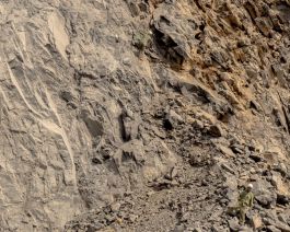 solidarity is a weapon