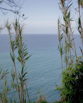 solidarity is a weapon