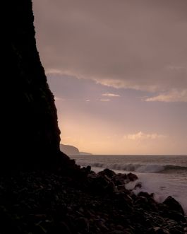 solidarity is a weapon