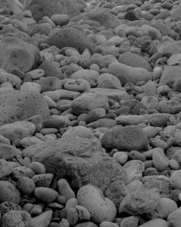 solidarity is a weapon