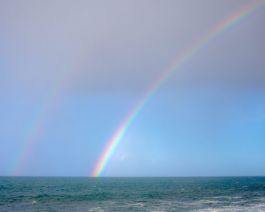 solidarity is a weapon