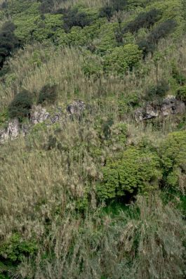 solidarity is a weapon