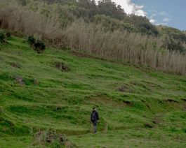 solidarity is a weapon