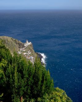 solidarity is a weapon