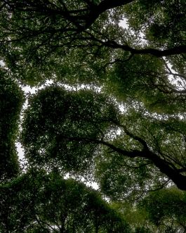 solidarity is a weapon