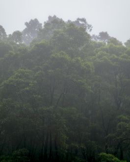 solidarity is a weapon