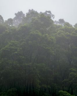 solidarity is a weapon